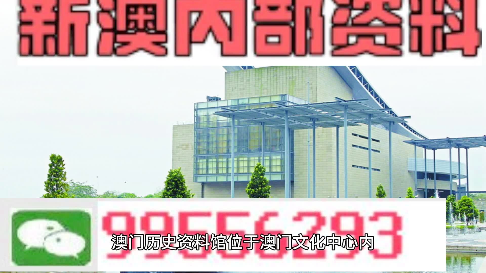 2025全年新澳一码一特944,词语释义解释与落实展望