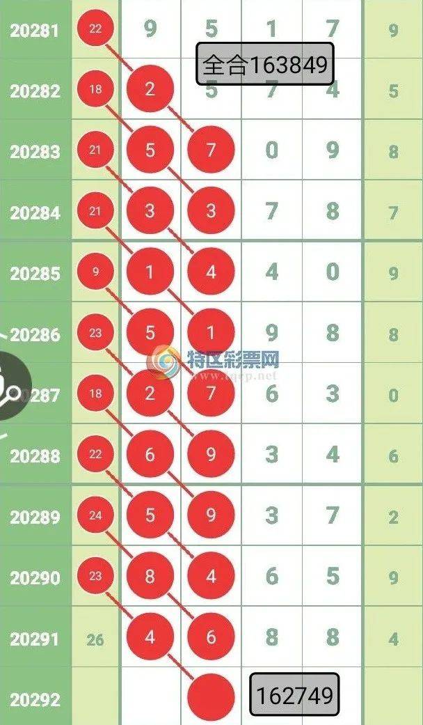 2025全年澳门与香港四肖八码期期必中-详细解答、解释与落实